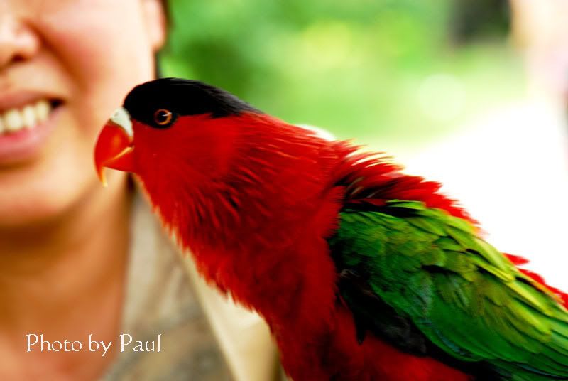 Photo Sharing and Video Hosting at Photobucket