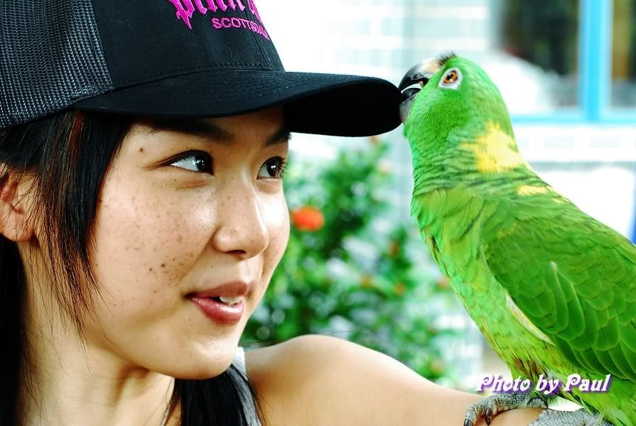 Photo Sharing and Video Hosting at Photobucket