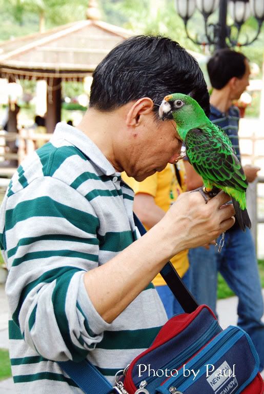 Photo Sharing and Video Hosting at Photobucket