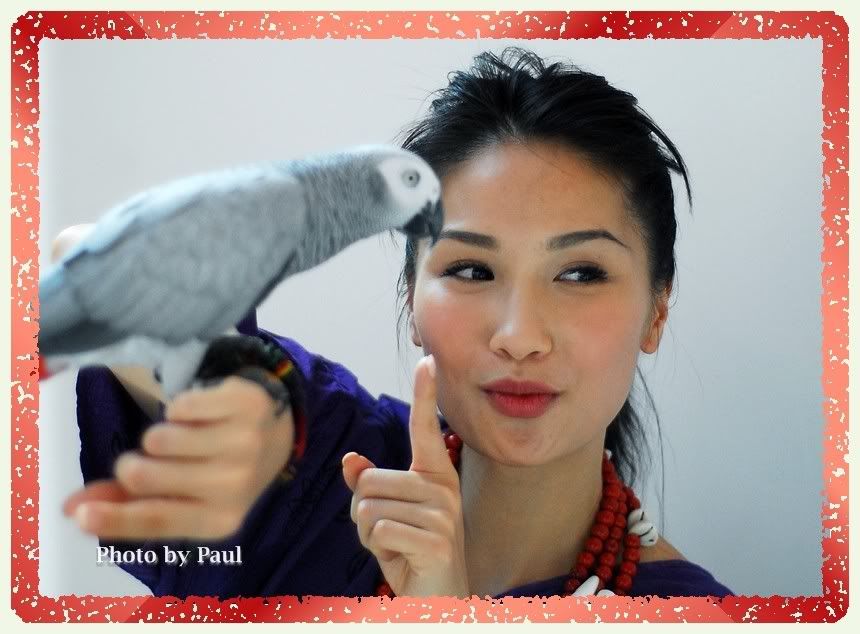 Photo Sharing and Video Hosting at Photobucket