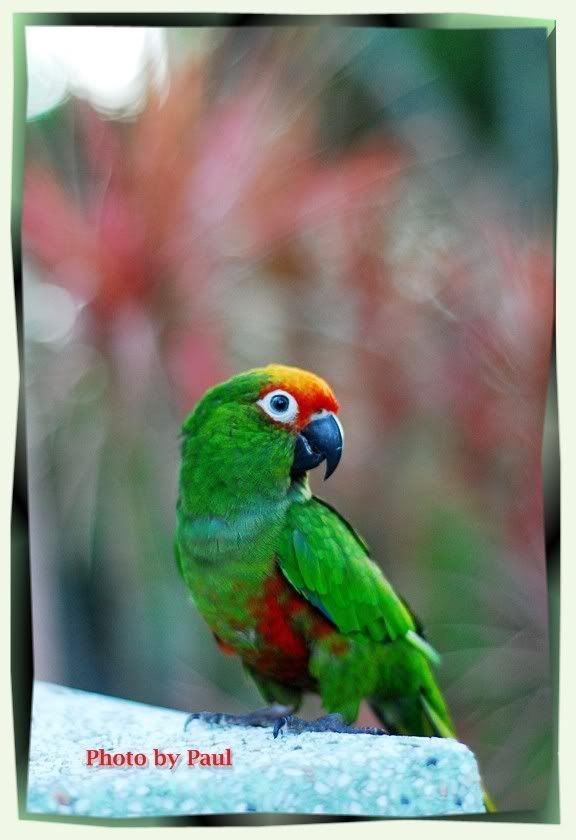 Photo Sharing and Video Hosting at Photobucket