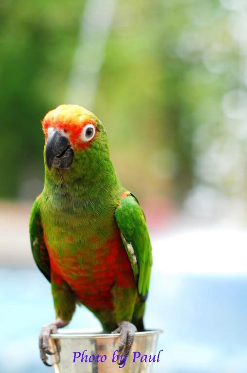 Photo Sharing and Video Hosting at Photobucket