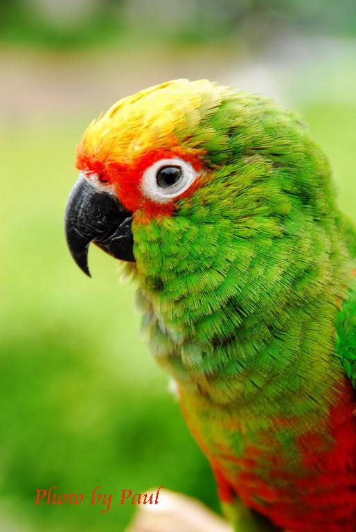 Photo Sharing and Video Hosting at Photobucket