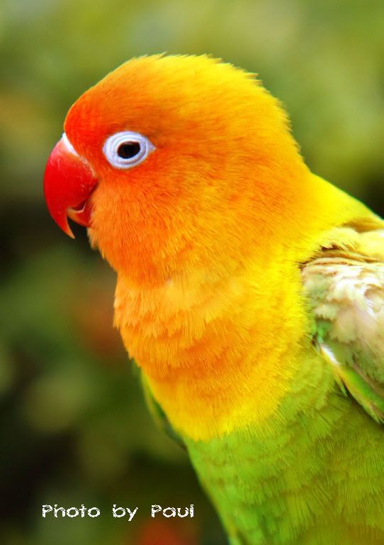 Photo Sharing and Video Hosting at Photobucket