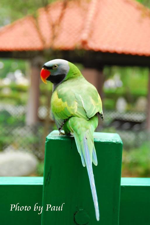 Photo Sharing and Video Hosting at Photobucket