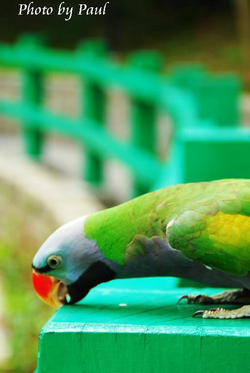 Photo Sharing and Video Hosting at Photobucket