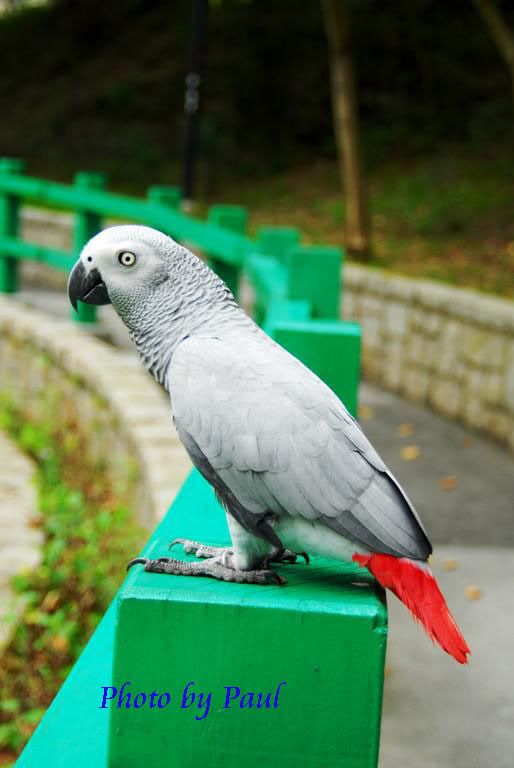 Photo Sharing and Video Hosting at Photobucket