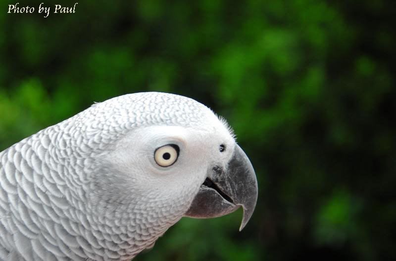 Photo Sharing and Video Hosting at Photobucket