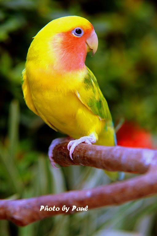 Photo Sharing and Video Hosting at Photobucket