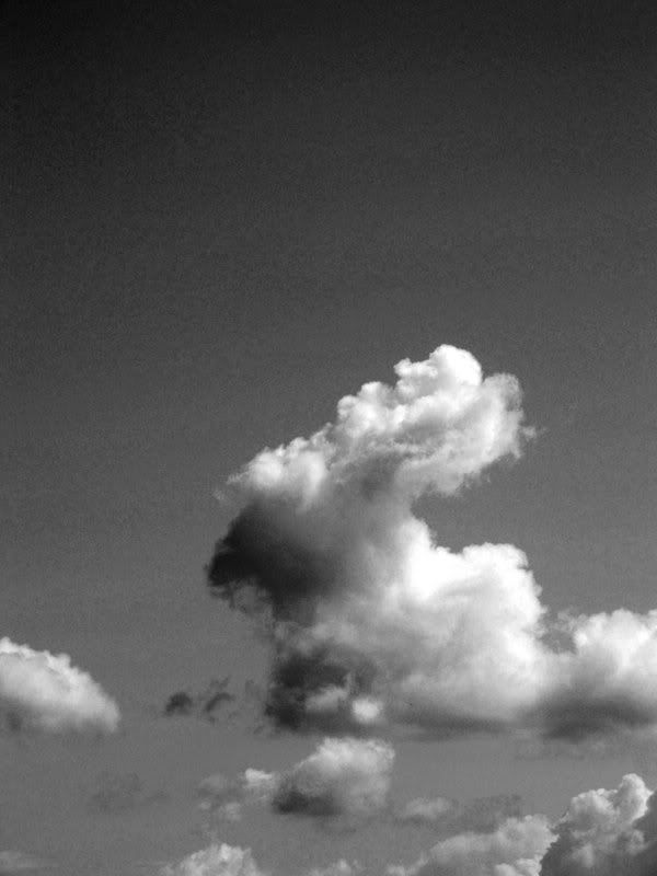 Cloud bunny