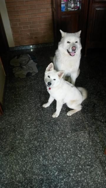 20140619_0914511.jpg