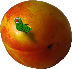 fruitworm.png