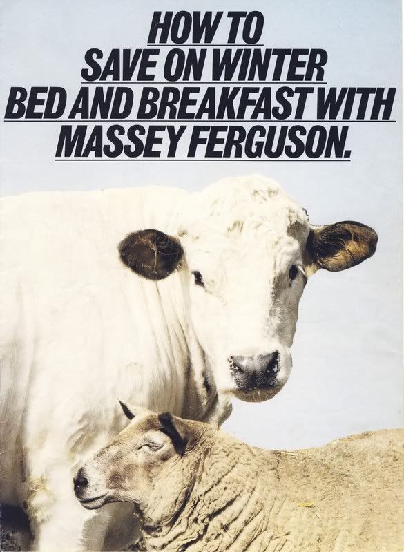 MFSilageAdvert_Page_1-1.jpg