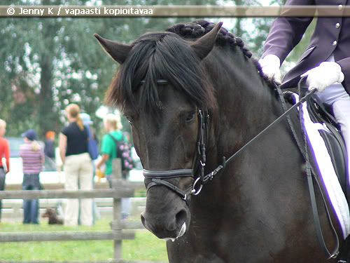 http://i154.photobucket.com/albums/s260/Jennykkuvat5/12.jpg