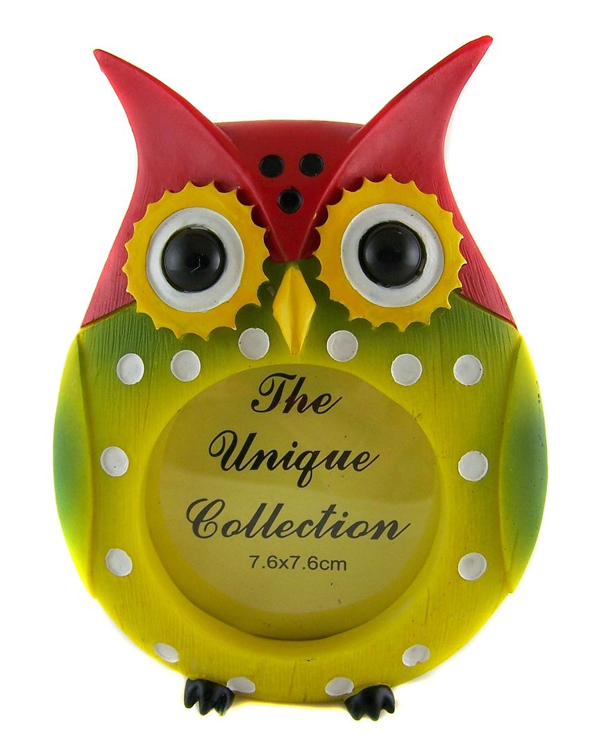 Fun NOVELTY COLOURFUL OWL PHOTO FRAME HOME DECOR Brand New eBay