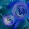 NAME OF ALLAH &amp; PROPHET MUHAMMAD (S.A.W) Pictures, Images and Photos