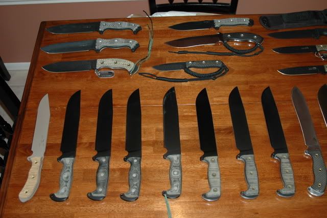 [Linked Image from i154.photobucket.com]