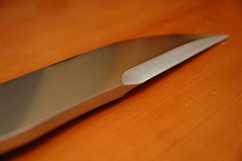 [Linked Image from i154.photobucket.com]