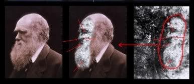 Darwinplastia: comparación hecha por el autor de este artículo