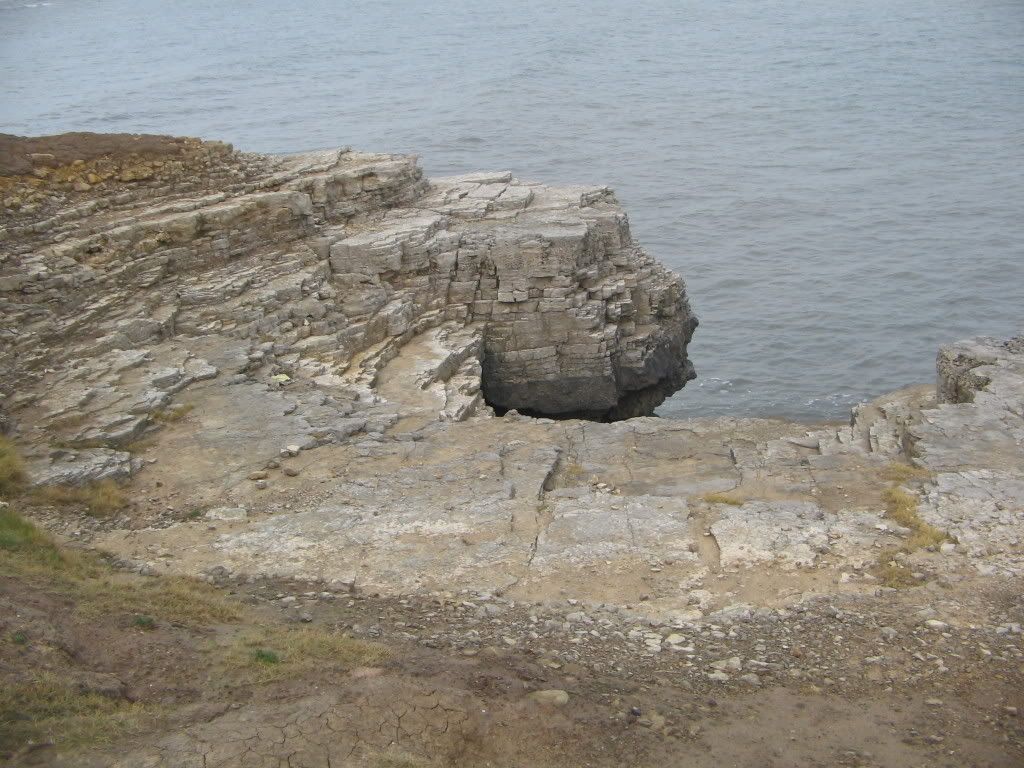 IMG_0460.jpg