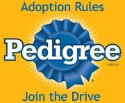 Adoption drive badge