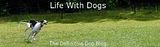  photo NigelWindUpheadertext4small2.jpg