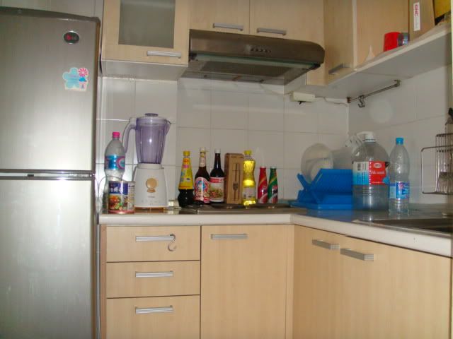 DSC01245.jpg