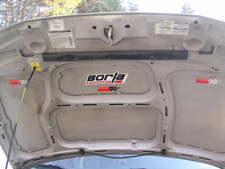 DSCN3262.jpg