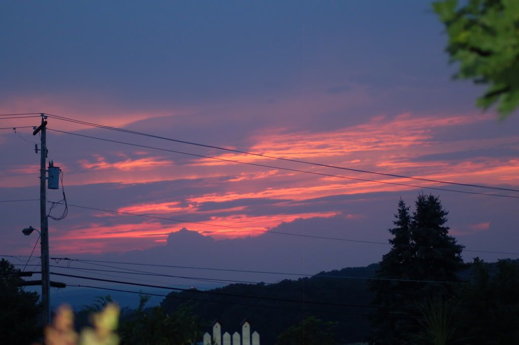 DSC_0070.jpg