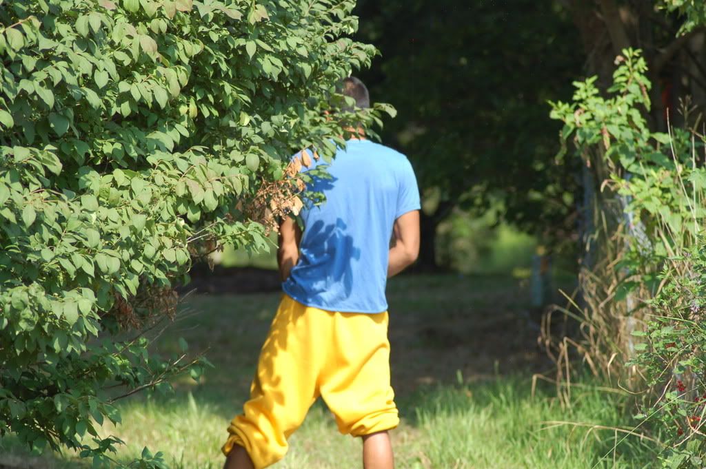 DSC_0085.jpg