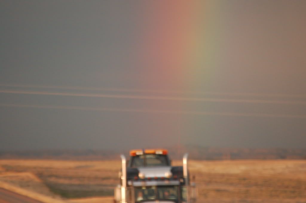 DSC_0213.jpg