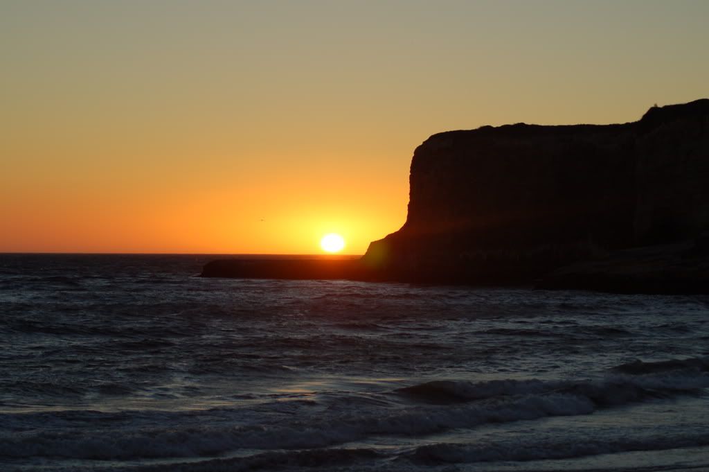 DSC_0250.jpg