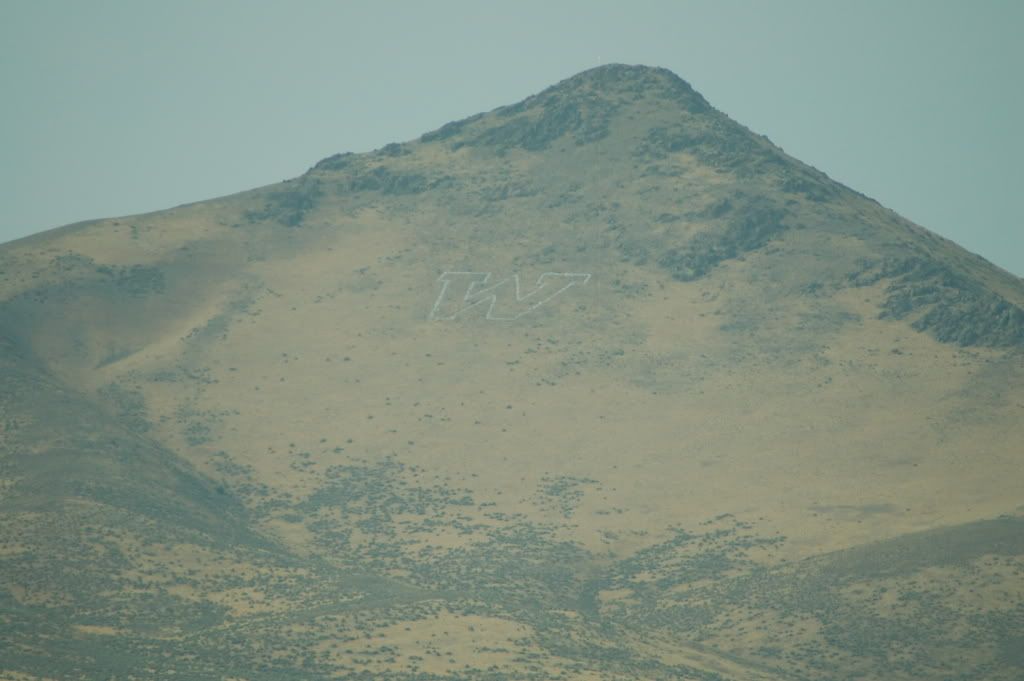 DSC_0355.jpg
