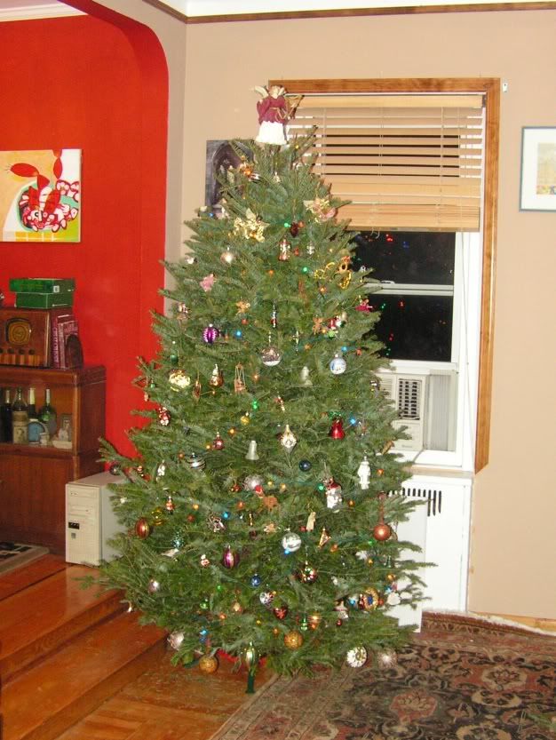 Tree2008reduced.jpg