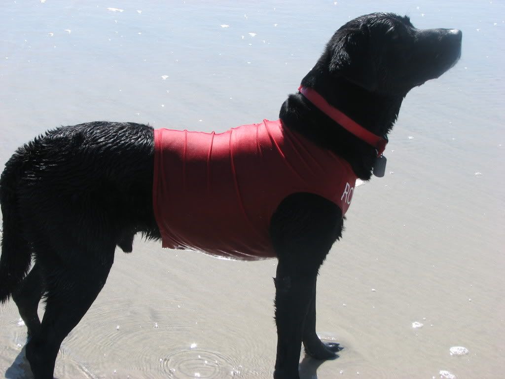 K9 Top Coat High Quality Competition, Hunting Vests, Coats, Boots and