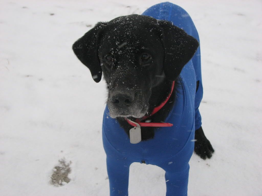 K9 Top Coat High Quality Competition, Hunting Vests, Coats, Boots and