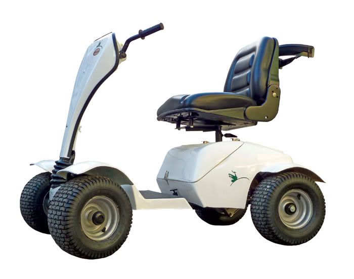 grasshopper classic golf buggy