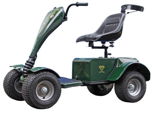 grasshopper classic golf buggy