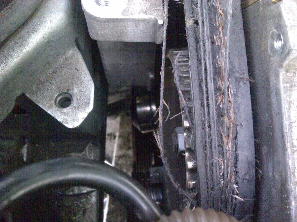 Renault 1 9 Dci Timing Marks