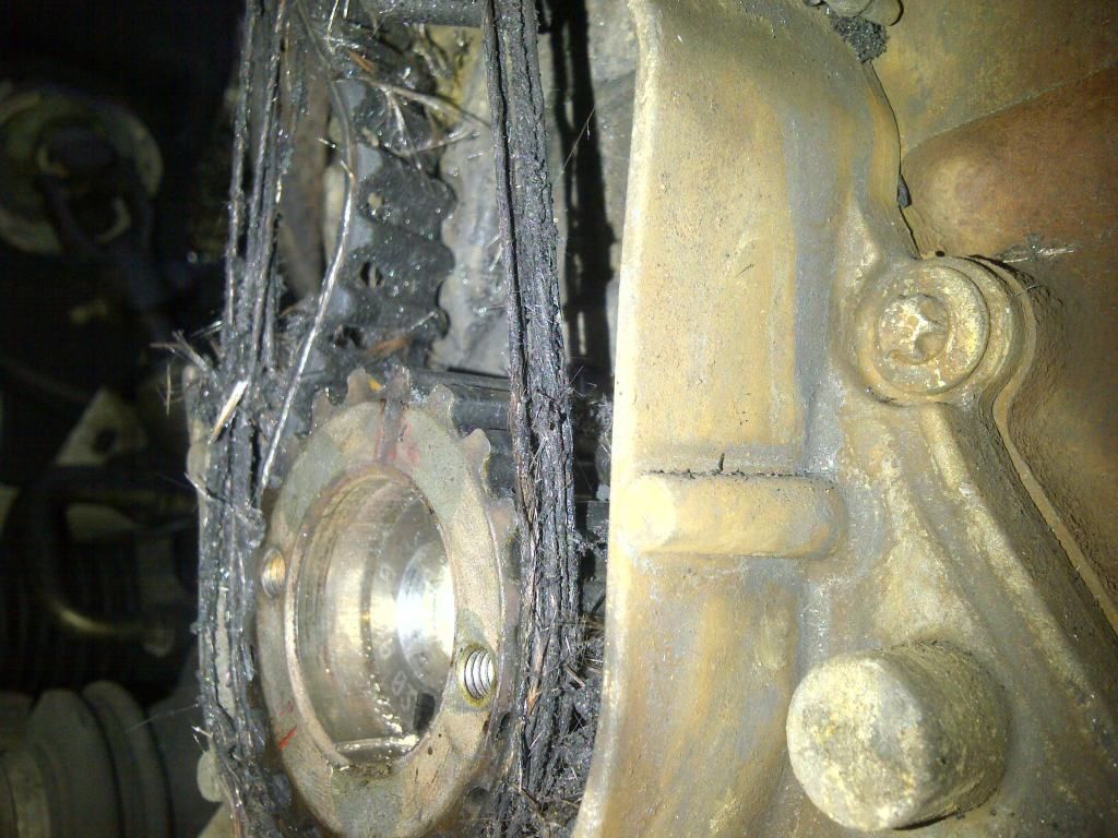 Laguna Shredded Cam Belt