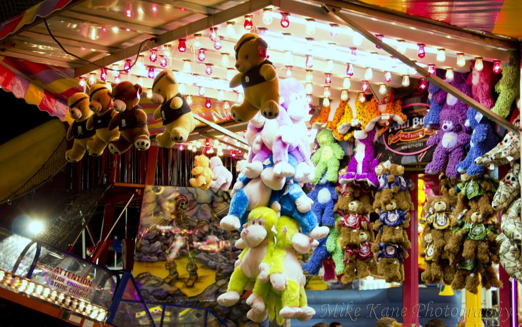 IMAGE: http://i154.photobucket.com/albums/s272/valentino_031/stuffed_animals_games.jpg