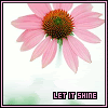 DressUpMyspace.com - Glitter Graphics, Myspace Icons, MySpace Graphics, MySpace Codes, MySpace Layouts, Piczo Icons, Glitter Words