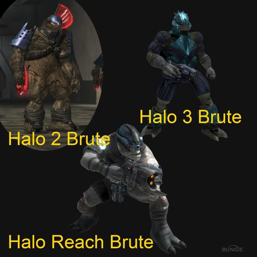 Halo 2 Ranks