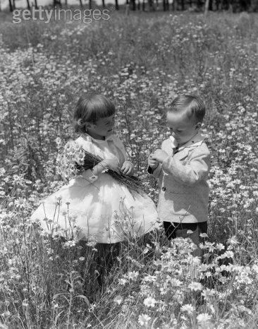 flowers Pictures, Images and Photos