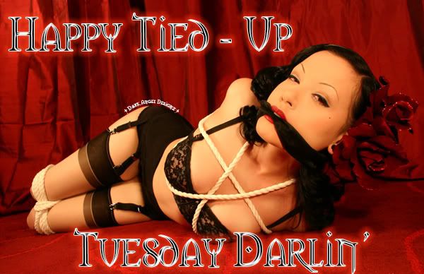 tied up tuesday photo: tied up tues ts0510.jpg