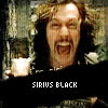 HP Sirius Black