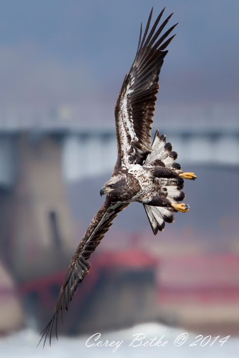 IMAGE: http://i154.photobucket.com/albums/s278/mini_fanatic/IMG_4623_zps41b2efc6.jpg