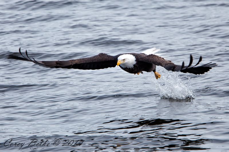 IMAGE: http://i154.photobucket.com/albums/s278/mini_fanatic/IMG_4897_zpsdd14f92d.jpg