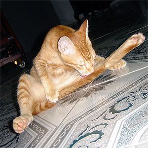 Photo Sharing and Video Hosting at Photobucket