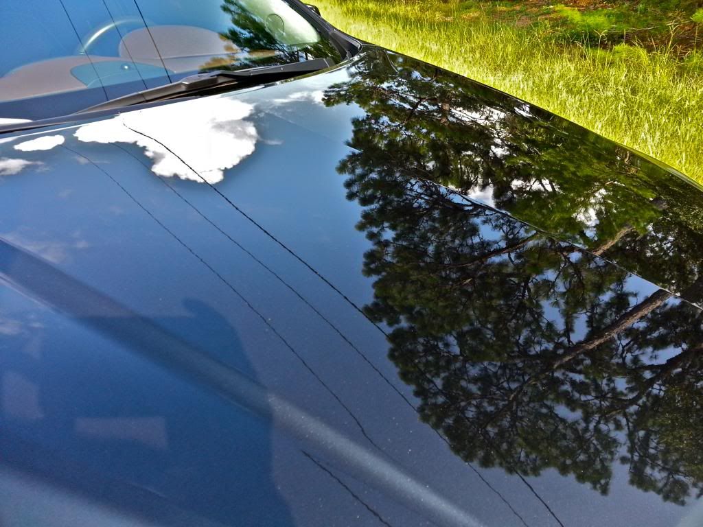 20130729_174127_zps4f0f07e9.jpg
